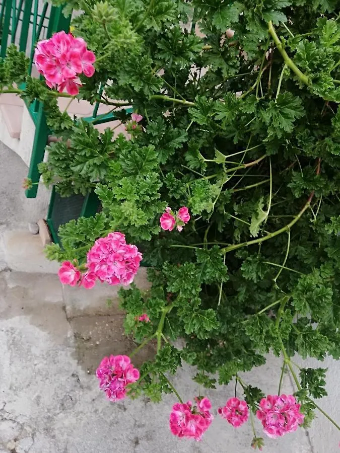 Casa Maria Lafinestrasulgarda Διαμέρισμα Limone sul Garda