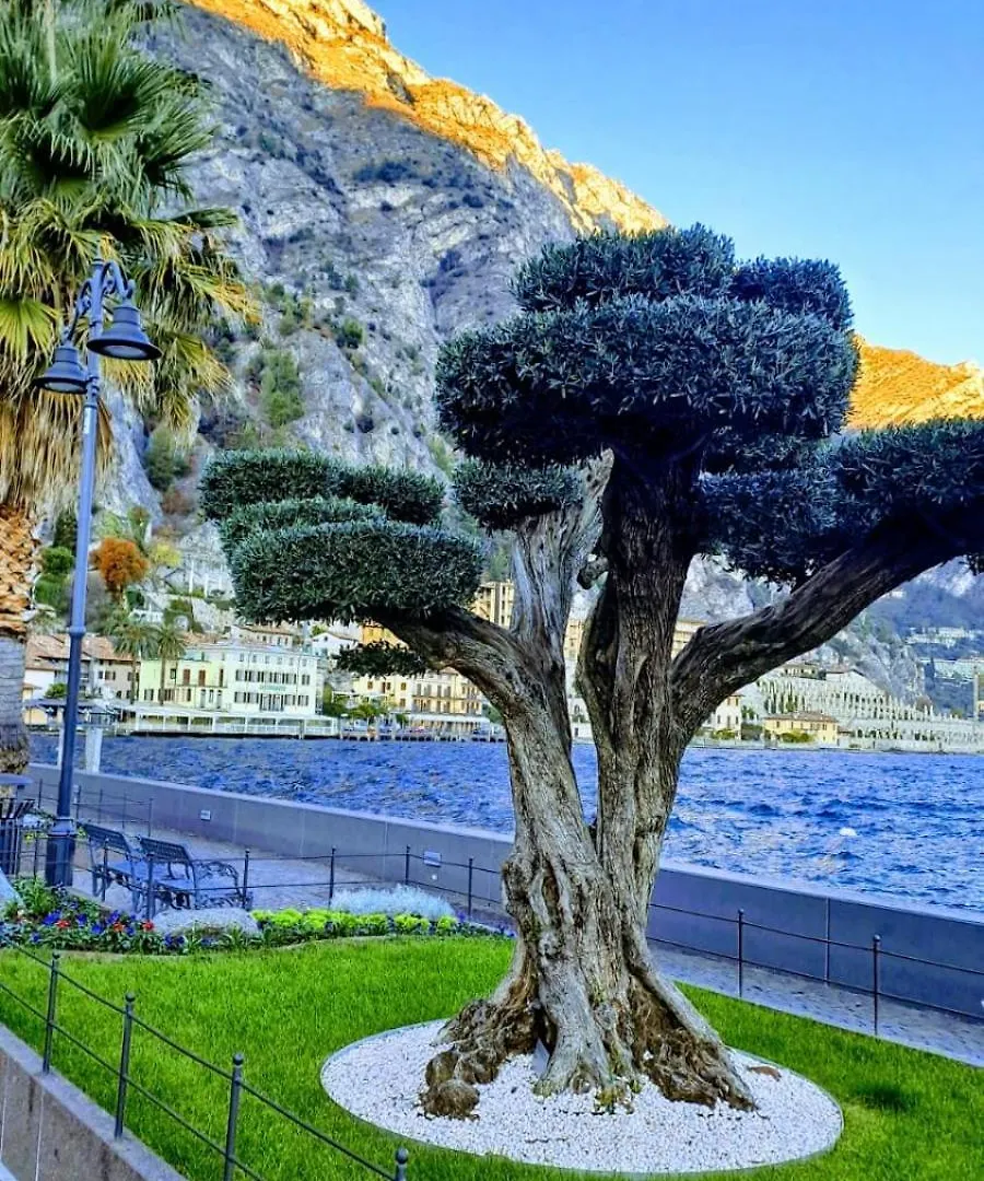 Casa Maria Lafinestrasulgarda Διαμέρισμα Limone sul Garda