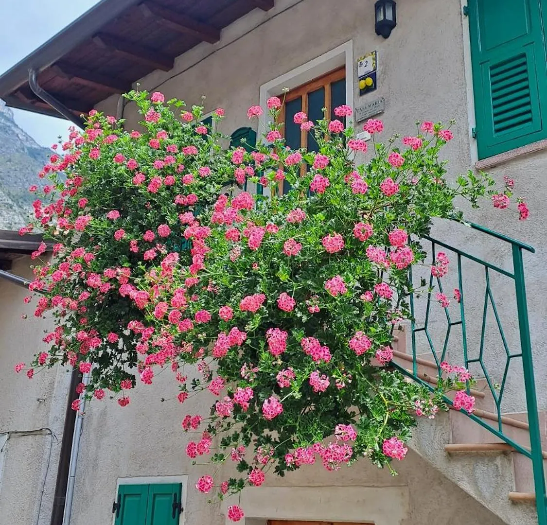 Casa Maria Lafinestrasulgarda Διαμέρισμα Limone sul Garda Ιταλία